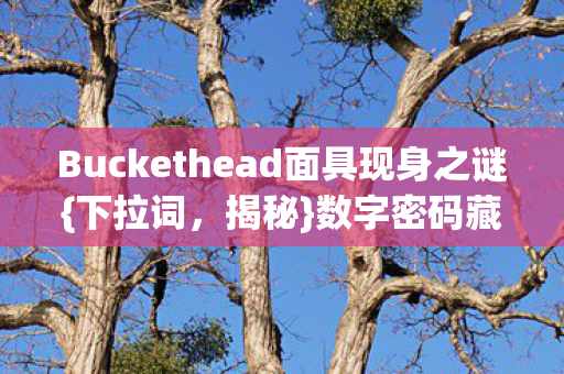 Buckethead面具现身之谜图片