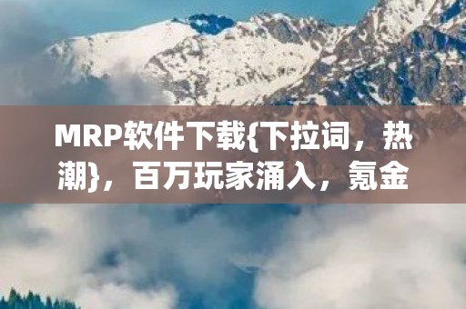 MRP软件下载图片