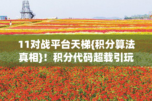 积分代码超载引玩家热议图片