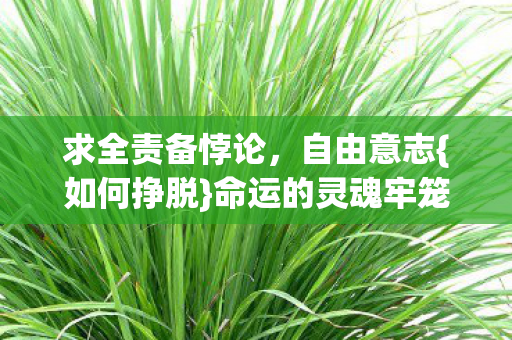 求全责备悖论,自由意志{如何挣脱}命运的灵魂牢笼? 求全责备悖论,自由意志{如何挣脱}命运的灵魂牢笼?