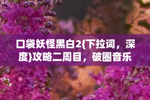 口袋妖怪黑白2{下拉词,深度}攻略二周目,破圈音乐综艺秀场 口袋妖怪黑白2{下拉词,深度}攻略二周目,破圈音乐综艺秀场
