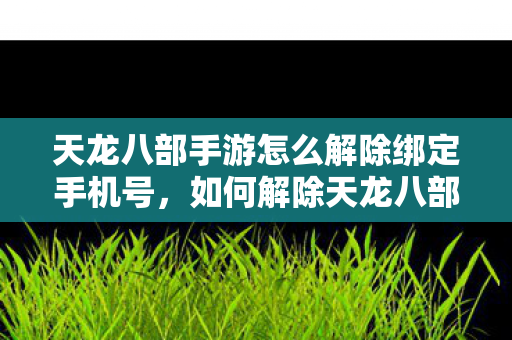 天龙八部手游怎么解除绑定手机号图片