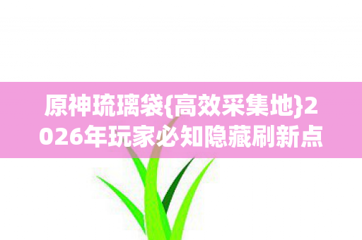2026年玩家必知隐藏刷新点图片