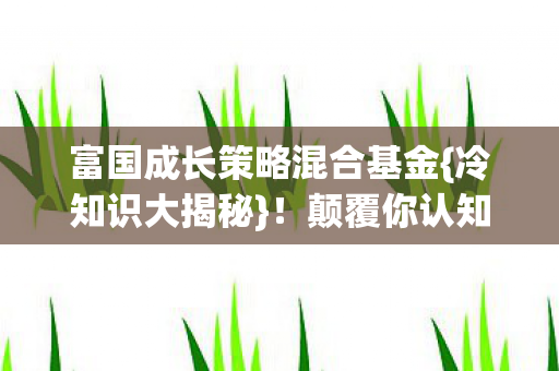 富国成长策略混合基金图片
