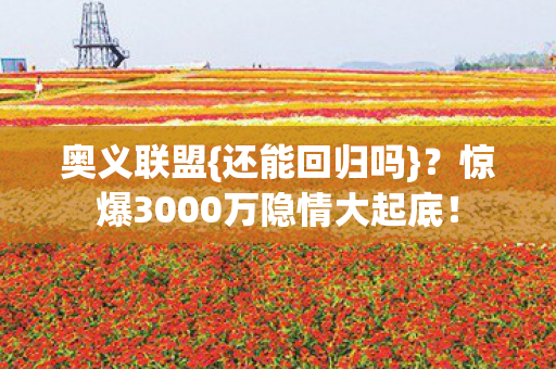 惊爆3000万隐情大起底图片