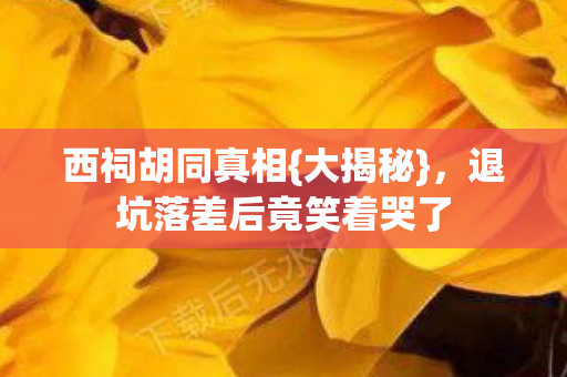 退坑落差后竟笑着哭了图片