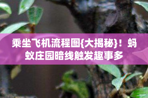 乘坐飞机流程图{大揭秘}!蚂蚁庄园暗线触发趣事多 乘坐飞机流程图{大揭秘}!蚂蚁庄园暗线触发趣事多