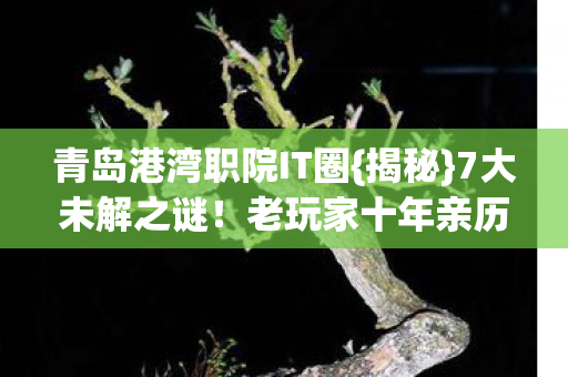 青岛港湾职院IT圈{揭秘}7大未解之谜!老玩家十年亲历 青岛港湾职院IT圈{揭秘}7大未解之谜!老玩家十年亲历