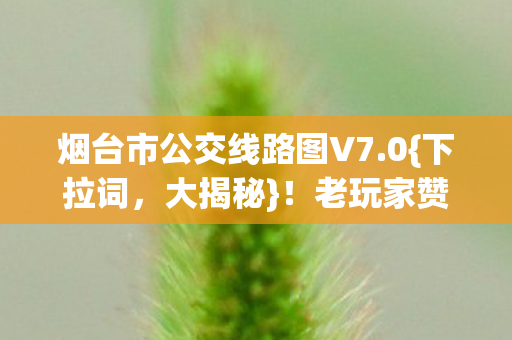烟台市公交线路图V7.0{下拉词,大揭秘}!老玩家赞更新太惊艳 烟台市公交线路图V7.0{下拉词,大揭秘}!老玩家赞更新太惊艳