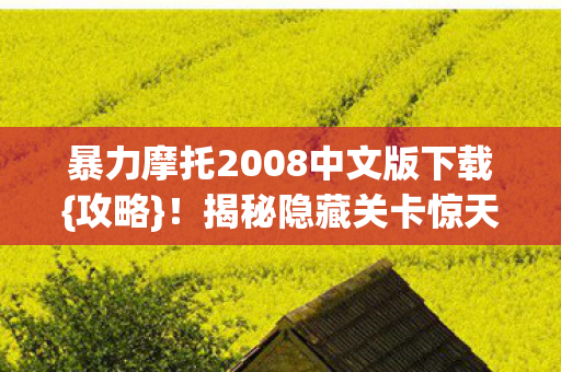 暴力摩托2008中文版下载图片