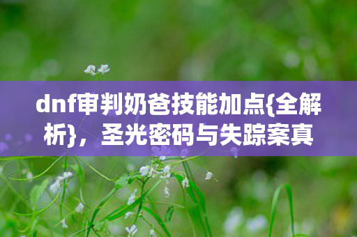 dnf审判奶爸技能加点图片