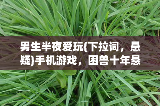 困兽十年悬案揭秘图片