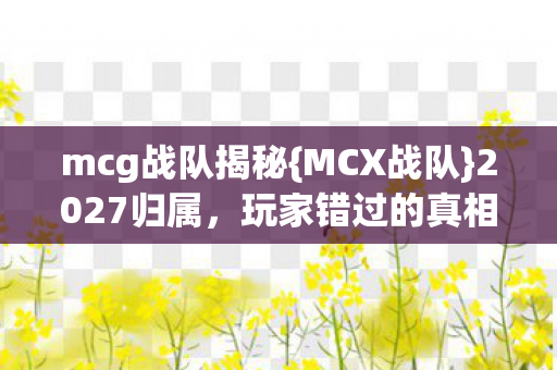 mcg战队揭秘图片