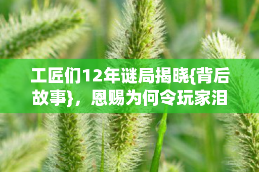工匠们12年谜局揭晓图片