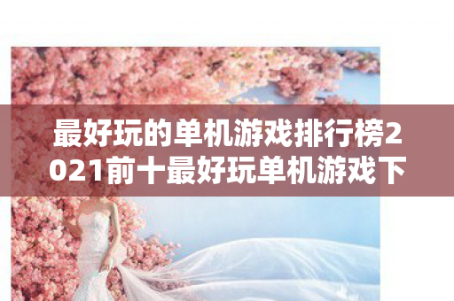 最好玩的单机游戏排行榜2021前十最好玩单机游戏下载图片