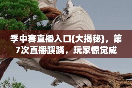 季中赛直播入口图片