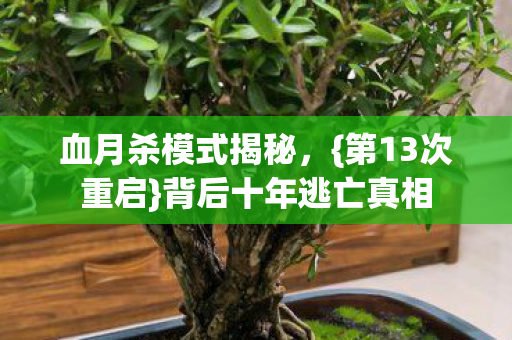 背后十年逃亡真相图片