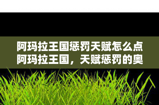 阿玛拉王国惩罚天赋怎么点阿玛拉王国图片