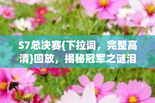 揭秘冠军之谜泪目史诗图片