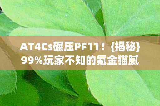 AT4Cs碾压PF11图片