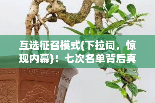 互选征召模式{下拉词,惊现内幕}!七次名单背后真相揭秘 互选征召模式{下拉词,惊现内幕}!七次名单背后真相揭秘