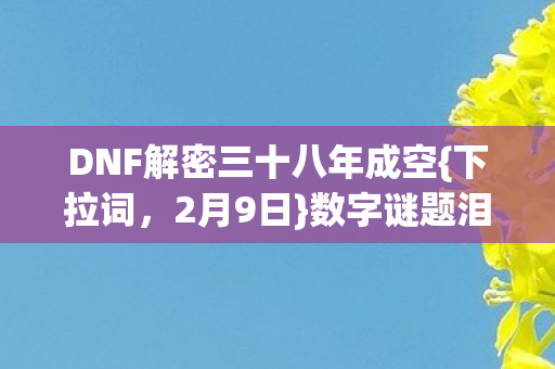 DNF解密三十八年成空{下拉词,2月9日}数字谜题泪目落幕 DNF解密三十八年成空{下拉词,2月9日}数字谜题泪目落幕
