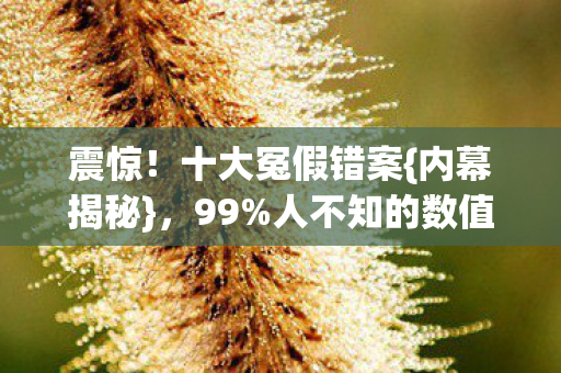 震惊!十大冤假错案{内幕揭秘},99%人不知的数值黑幕 震惊!十大冤假错案{内幕揭秘},99%人不知的数值黑幕