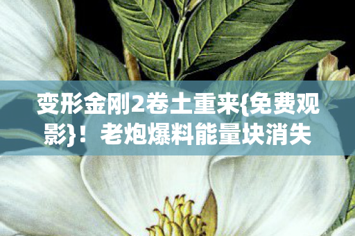 变形金刚2卷土重来{免费观影}！老炮爆料能量块消失术