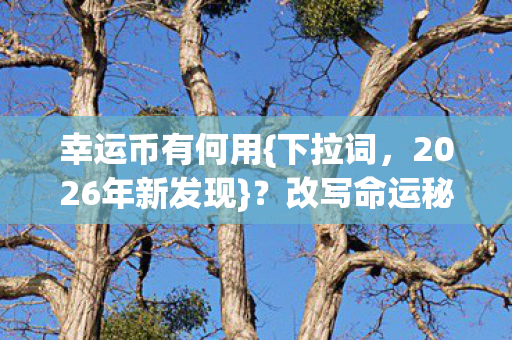 2026年新发现图片