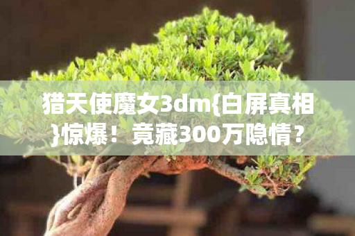 猎天使魔女3dm图片