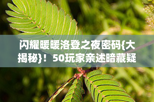 闪耀暖暖洛登之夜密码图片
