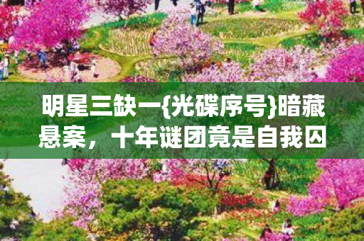 明星三缺一{光碟序号}暗藏悬案，十年谜团竟是自我囚笼？