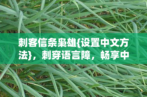 刺客信条枭雄{设置中文方法}，刺穿语言障，畅享中文版
