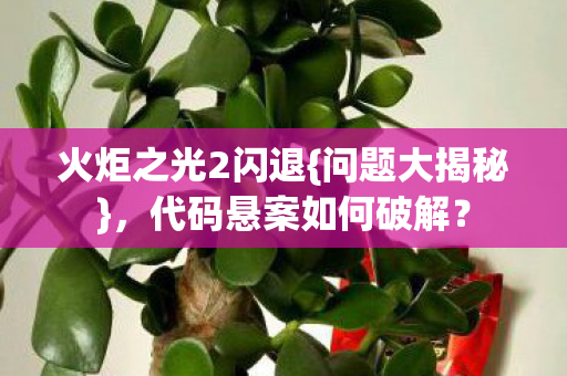 火炬之光2闪退{问题大揭秘}，代码悬案如何破解？