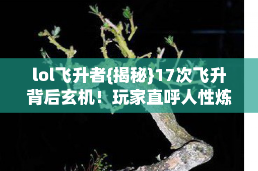 lol飞升者{揭秘}17次飞升背后玄机!玩家直呼人性炼狱 lol飞升者{揭秘}17次飞升背后玄机!玩家直呼人性炼狱