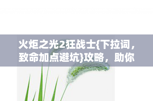 火炬之光2狂战士{下拉词,致命加点避坑}攻略,助你少走弯路! 火炬之光2狂战士{下拉词,致命加点避坑}攻略,助你少走弯路!