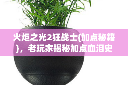 火炬之光2狂战士{加点秘籍},老玩家揭秘加点血泪史 火炬之光2狂战士{加点秘籍},老玩家揭秘加点血泪史