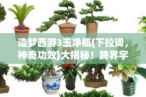造梦西游3玉净瓶{下拉词,神奇功效}大揭秘!跨界宇宙新碰撞 造梦西游3玉净瓶{下拉词,神奇功效}大揭秘!跨界宇宙新碰撞