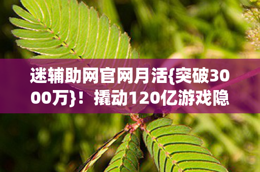 迷辅助网官网月活{突破3000万}！撬动120亿游戏隐形市场