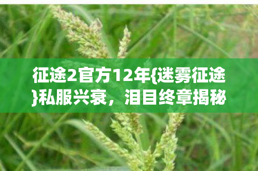 征途2官方12年{迷雾征途}私服兴衰，泪目终章揭秘