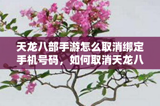 天龙八部手游怎么取消绑定手机号码图片