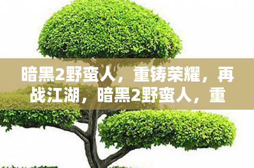 暗黑2野蛮人图片