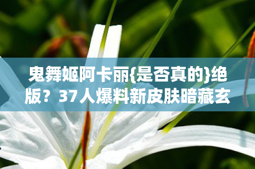 37人爆料新皮肤暗藏玄机图片