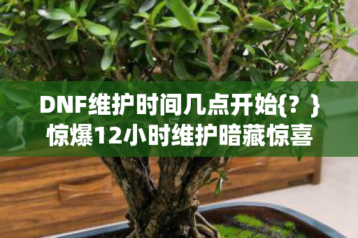 惊爆12小时维护暗藏惊喜图片