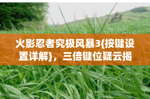 火影忍者究极风暴3图片