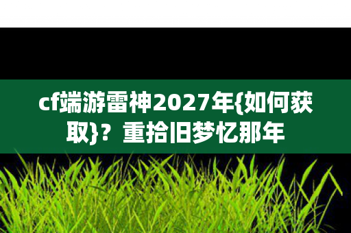 cf端游雷神2027年图片
