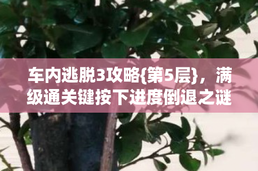 满级通关键按下进度倒退之谜图片