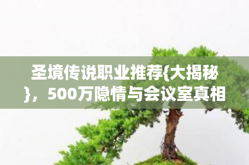 圣境传说职业推荐{大揭秘},500万隐情与会议室真相 圣境传说职业推荐{大揭秘},500万隐情与会议室真相