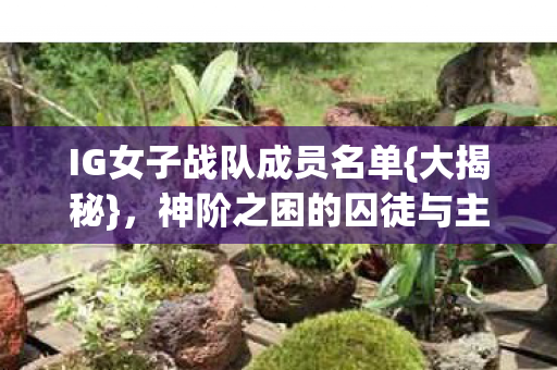 IG女子战队成员名单{大揭秘},神阶之困的囚徒与主宰 IG女子战队成员名单{大揭秘},神阶之困的囚徒与主宰