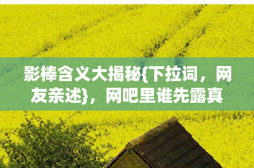 影棒含义大揭秘{下拉词,网友亲述},网吧里谁先露真相? 影棒含义大揭秘{下拉词,网友亲述},网吧里谁先露真相?